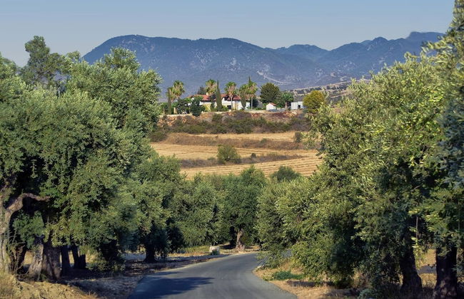 Incredible Large Villa In Paphos Sleeps 14 Children Pool, Jacuzzi, Huge Garden - Foto 52