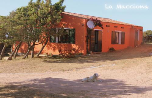 La Macciona - Photo 60