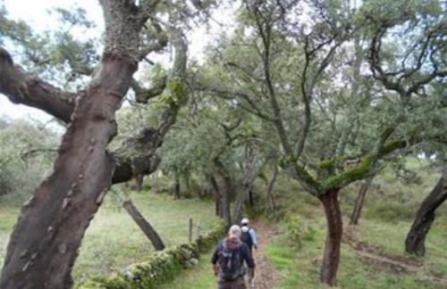 Casa Farfarnicola - Foto 22