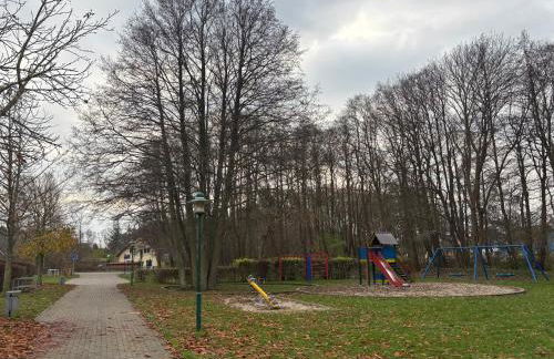 Muschel am Strand - Foto 17