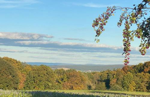 Ferienwohnung Odenwald Fernblick - Foto 27