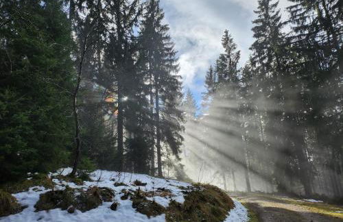 Ferienwohnung Herzlicht - Foto 27