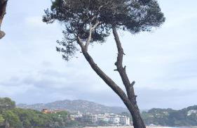 Lloret apartment & parking - Foto 45