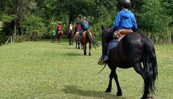 Parcourez à cheval les forêts araucaniennes