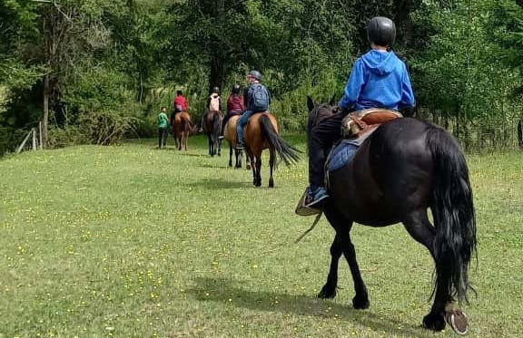 Paseo a caballo por las orillas del río Liucura - Foto 4