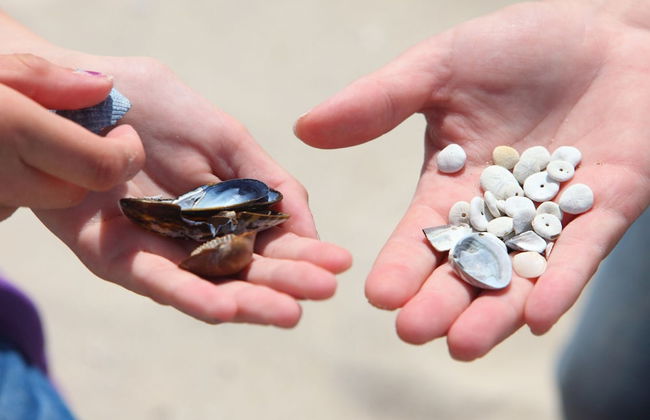 Private Indoor Pool Home in Verviers - Photo 18
