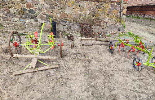 Vigor Horses - Foto 55