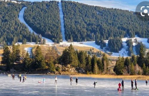 LE CHALET des 3 Sapins, Superbe Duplex Montagnard avec balcon, au calme - Les Rousses, Draps inclus & Parking gratuit - Foto 51