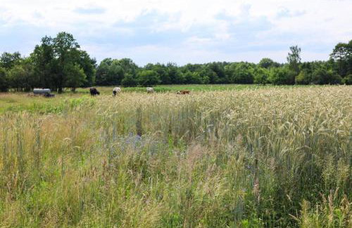 Oaza Święty Spokój - Tiny House z Balią i Jacuzzi przy rzece Narew - Foto 40