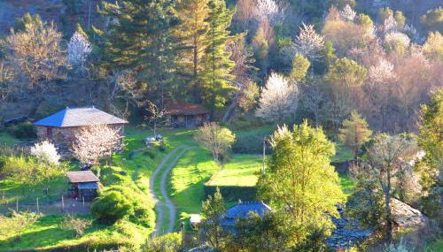 Casa Rural Chao de Castro - Foto 5