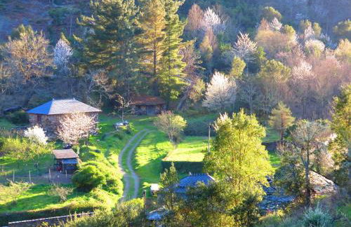 Casa Rural Chao de Castro - Foto 5