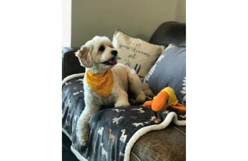 Turnstone Cottage - Foto 17