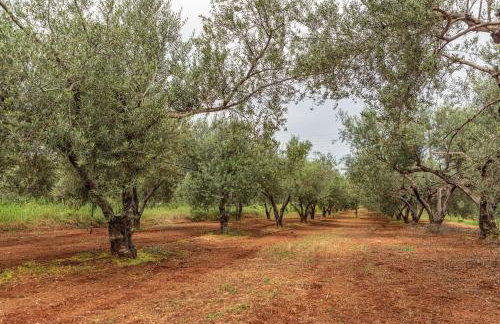 KrinesGReece - Foto 53