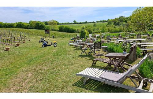 Obst- und Weingut Ingenhof - Foto 11