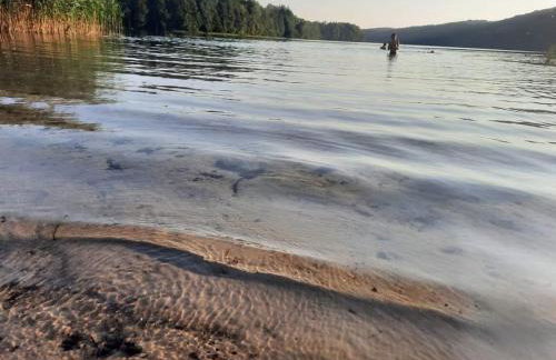 Pod Żurawiem Urokliwy domek na Kaszubach - Foto 60