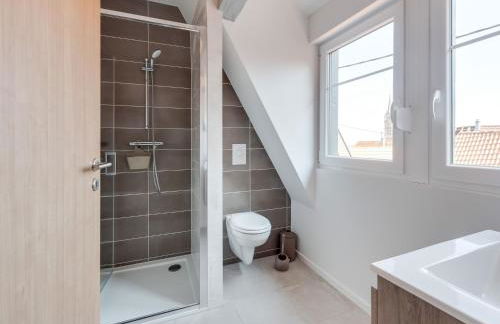 Apartment in Alsace near Haut-Koenigsbourg - Foto 18