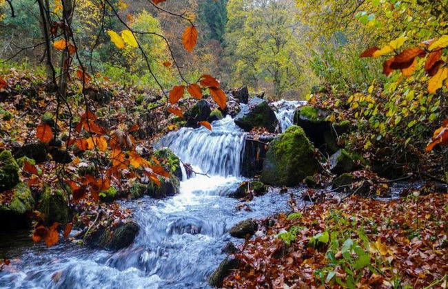 Small and Cozy Apartment in Frauenwald near Forest - Foto 39