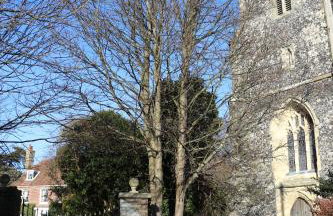 The Old Rectory - Foto 3