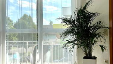 Sonnenoase in Sigmaringen - Foto 4