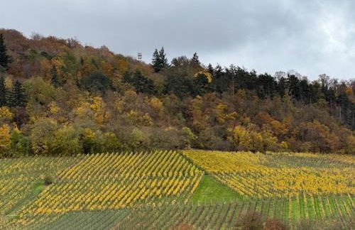 Panorama 180 - Foto 40