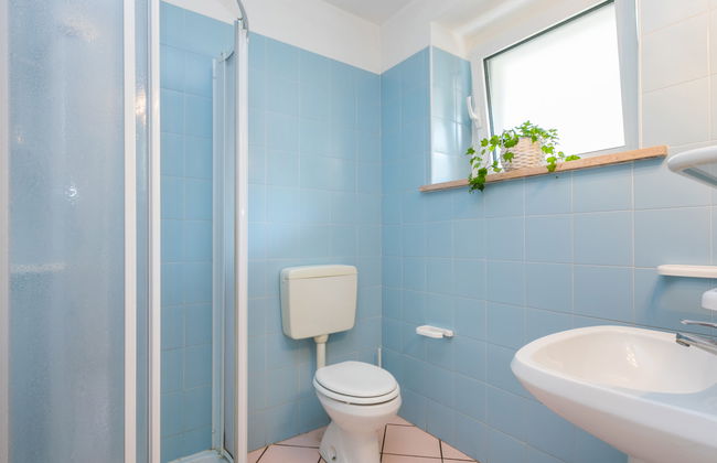 Gelso (GDO 202) - Foto 12