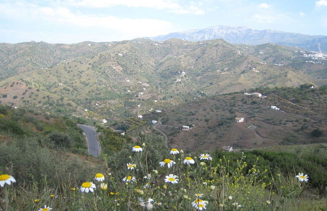 Independent Villa With Private Pool on an Estate in Sayalonga Costa del Sol - Photo 38