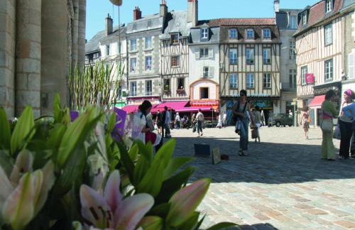 Luxury Villa in France with Pool and Garden - Foto 9