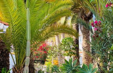 Calima house - Foto 15