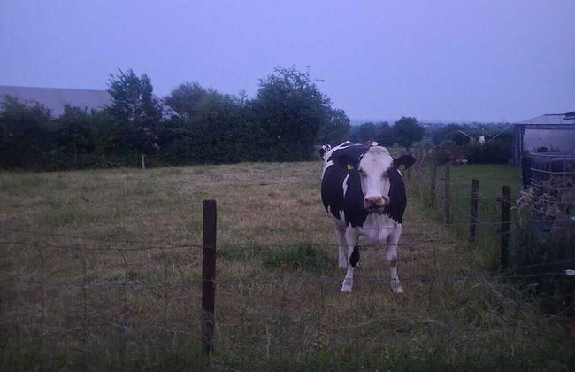 Beautiful Charming Wooden House - Foto 49