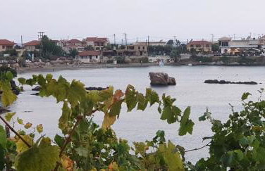 Sea View Holiday House - Photo 30