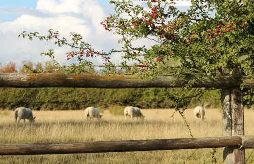 Cosy Cottage in Rural Lympsham - Foto 21