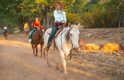 The Park Cabin at Mount Carmel Motel and RV Park - Foto 48