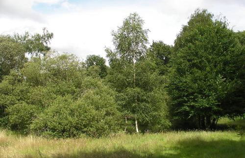 Le Clos Crista Galli - Foto 21