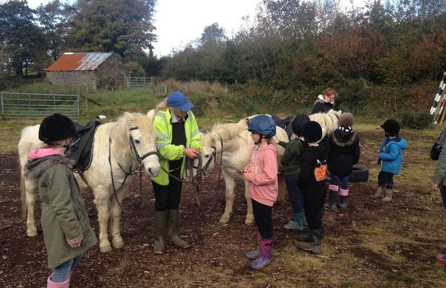 Cosy Stone Cottage on Llanllwni Mountain - Photo 14