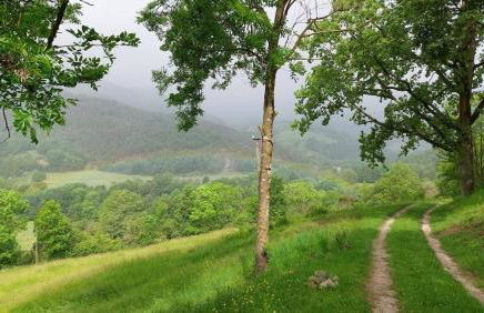 La caseta de Mas Salelles - Photo 23