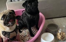 Residenza I Laghi - Photo 10