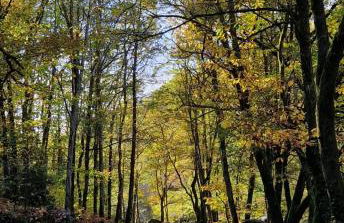 Gîte Se Sentir Libre - Photo 43