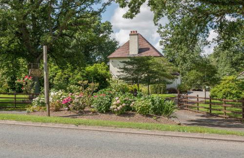 The Big Dingle - Foto 31