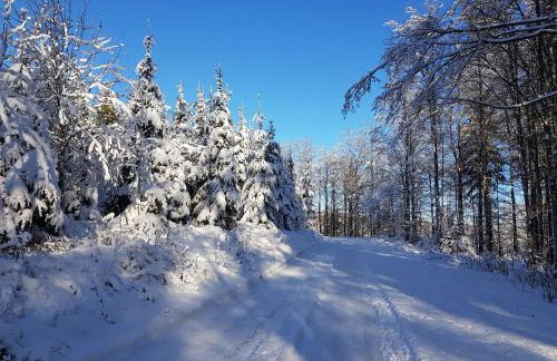 Ferienhaus am Ruhberg - Photo 31