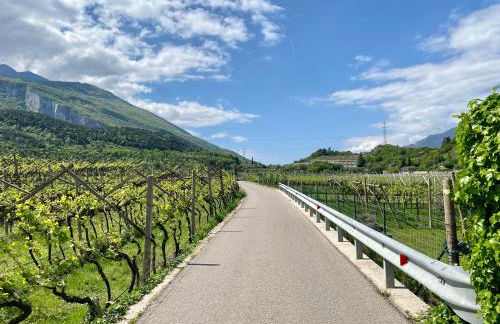 Appartamenti Le Tre Rose - Photo 22