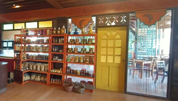 Visitez Panglao - Visite Privée - Photo 4