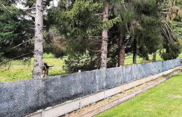 Maison familiale à Gerde - Foto 6