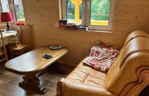 Leśna Oaza Radawa - Foto 10