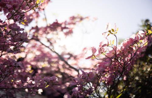 Die Villa bei Meran - Foto 46