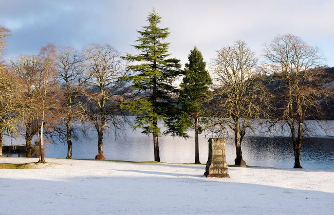 The Boys Dormitory - Foto 35