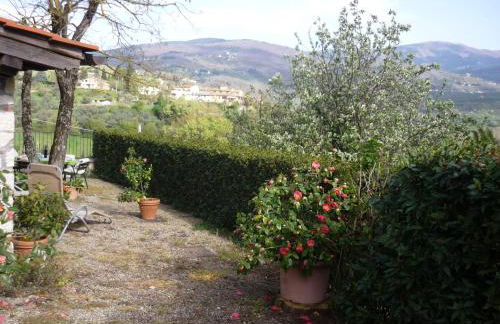 Complesso colonico Pogginano - Foto 36