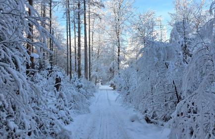 Am Bergischen Panoramasteig - Foto 33