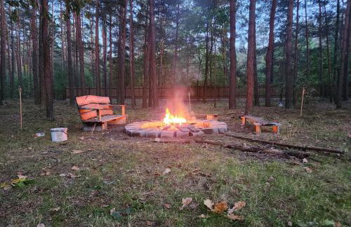 Leśna Osada Wieliszew - Foto 5