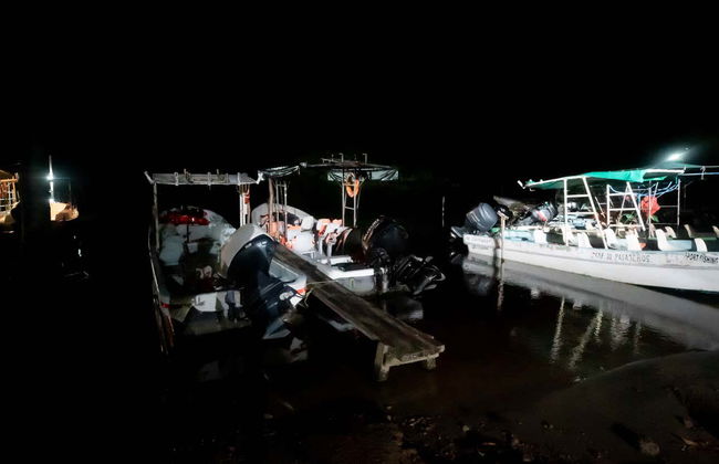 Night Tour of the Manialtepec Lagoon - Photo 13