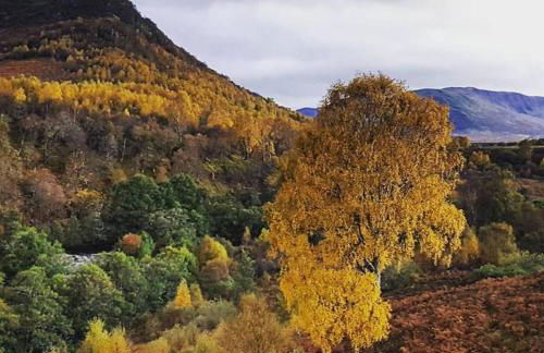 Baltinna West - by Where Stags Roar - Foto 22